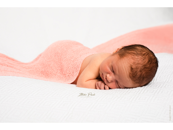 Bild 6 von Ildiko Posch Photography