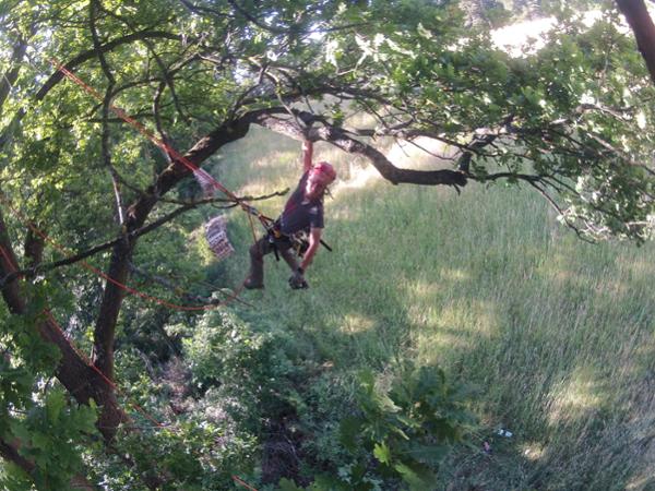 Bild 2 von TREEtastic Baumservice e.U.