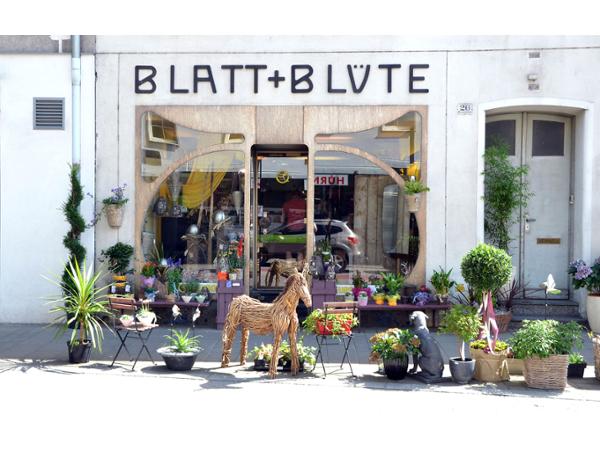 Bild 1 von blumen habersohn