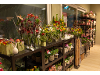 Thumbnail - Floral Garage Griessmaier2