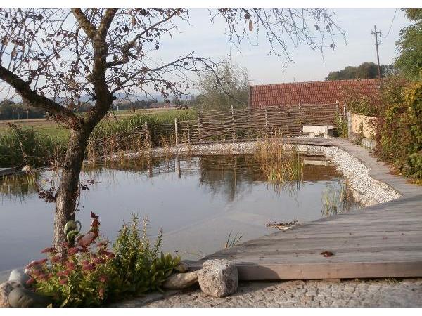Bild 13 von Holz - Bumberger