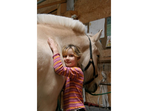Bild 3 von Villa Momo - Heilpädagogisches Reiten & Voltigieren Brigitte Dünser