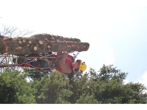Bild 1 von Schiantarelli Simon