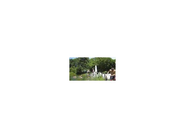 Bild 8 von Aktiv Camp Purgstall Camping- & Ferienpark