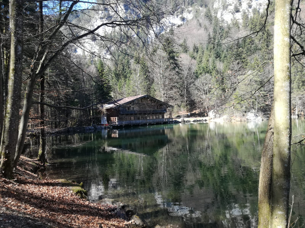 Bild 8 von Eiscafe Ferienpension Haflingerhof