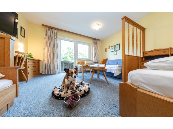 Bild 20 von Almfrieden Hotel & Romantikchalet