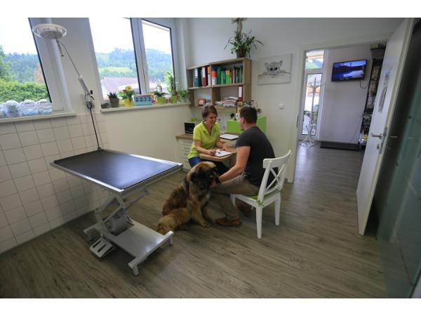 Bild 3 von Ganzheitliche Tierarztpraxis - Mag. med. vet. Christine Pichler