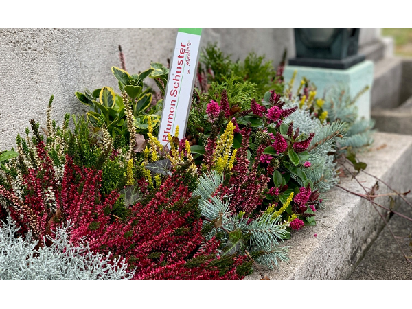 Bild 8 von Blumen Schuster in Meidling - Christine Schuster