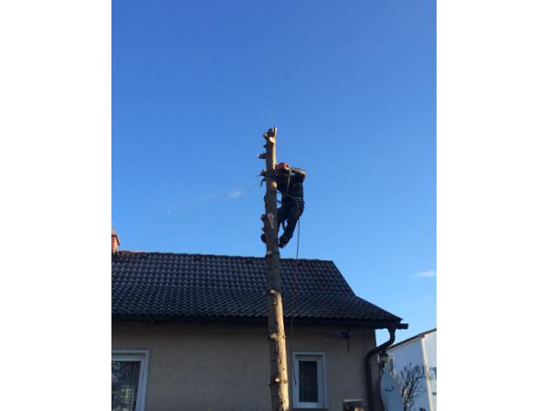Bild 25 von Dobler's Hausservice