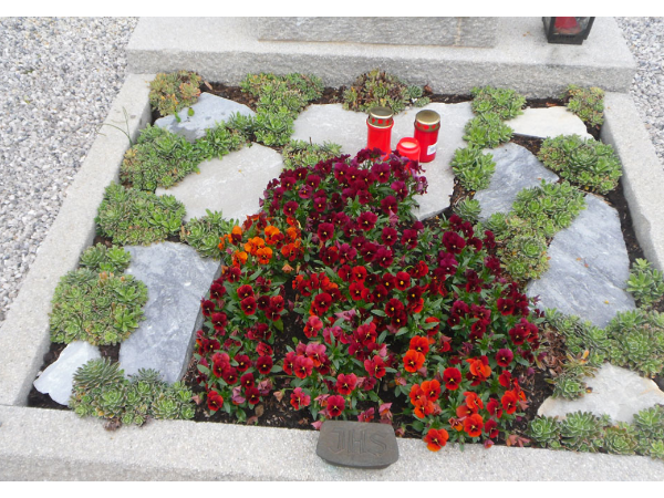 Bild 4 von Blumen Neuner