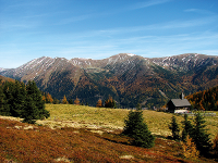 Gemeindeamt der Gemeinde Gaal