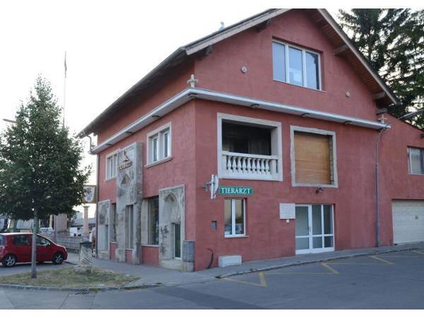 Bild 1 von Dr. Isabel Herget