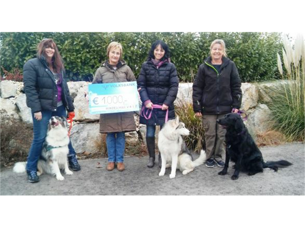 Bild 9 von Hundeschule V.A.S.Z.-Mistelbach