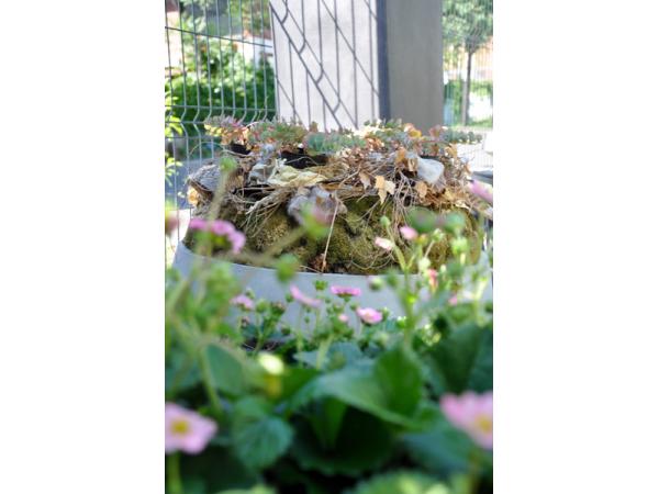 Bild 6 von Floral Garage Griessmaier
