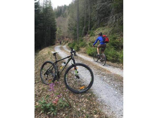 Bild 3 von FAHRRAD-CENTER Faaker See Messner Alexander
