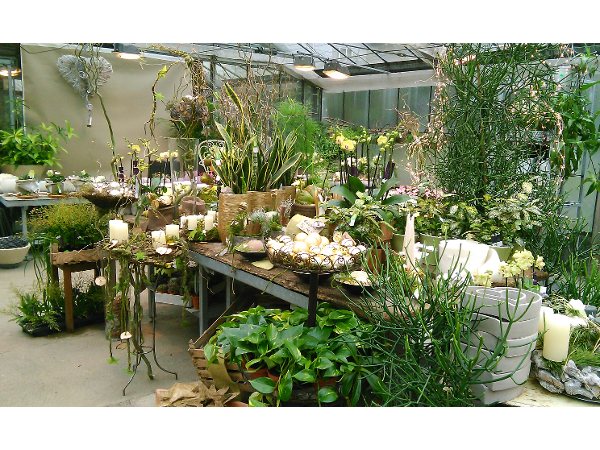 Bild 21 von Blumen und Garten Veronika Schmeikal OG