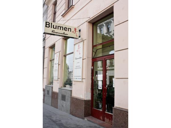 Bild 1 von Rosenwalzer Ursula Lettner