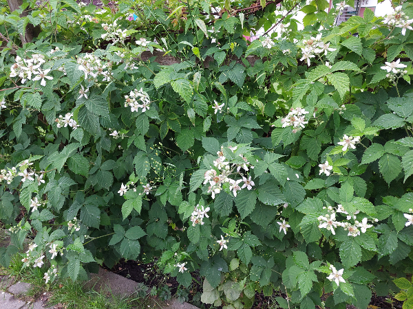 Bild 65 von Haus Christoph