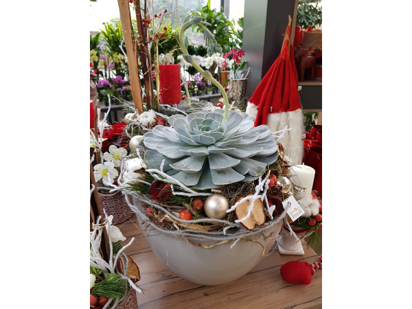 Bild 69 von Gartenbau-Blumen Helmut Friedl