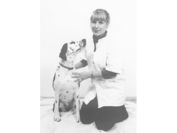 Bild 3 von Jungwirth Kathrin Mag.med.vet. Tierärztin