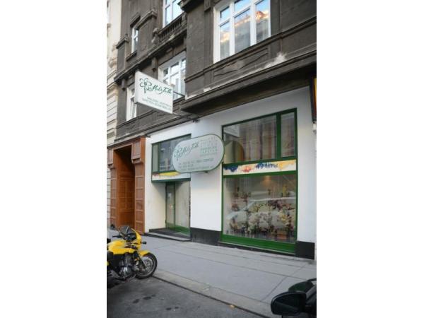 Bild 1 von Toth Andreas GesmbH