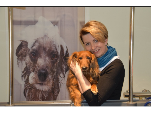 Bild 1 von Hundesalon Iris
