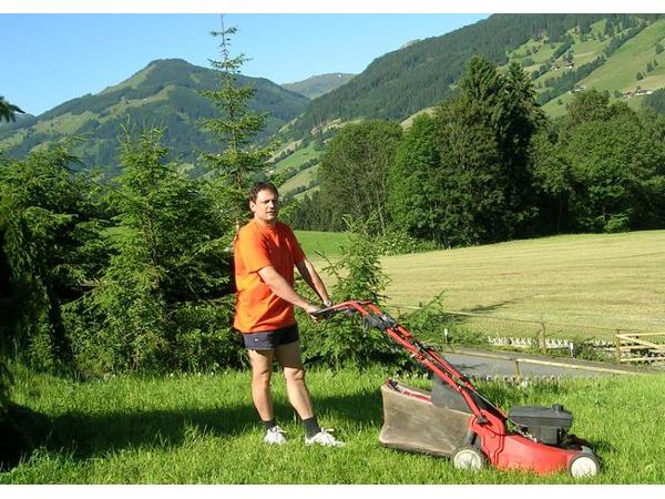 Bild 3 von Bolego - Hausbesorgung, Gartenbetreuung, Winterdienst