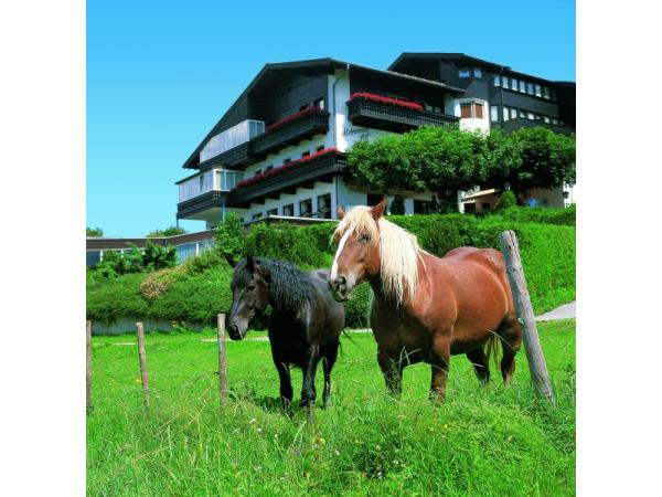 Bild 20 von Hotel  Aldranser Hof