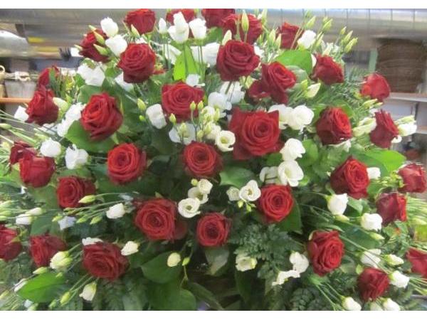 Bild 9 von Blumen Christa Rubenzucker