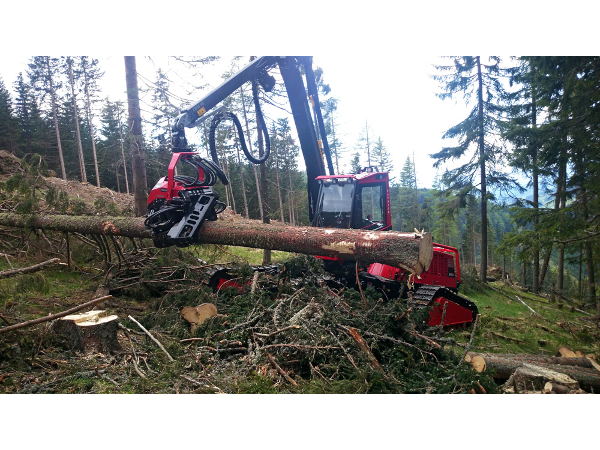 Bild 1 von Holzernte KraWe GmbH & Co KG