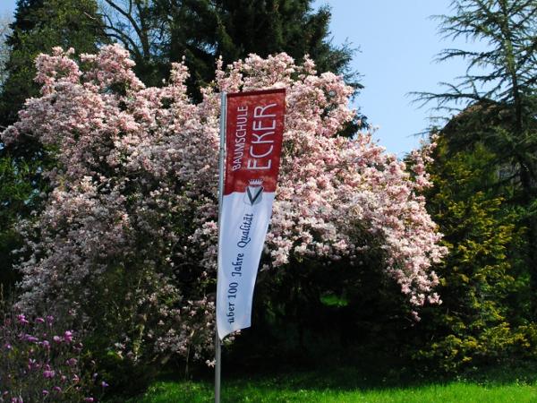 Bild 9 von Ecker - Eckhofen Gartengestaltung KG