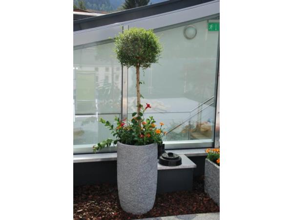 Bild 18 von Blumen und Gärtnerei Riegler GmbH