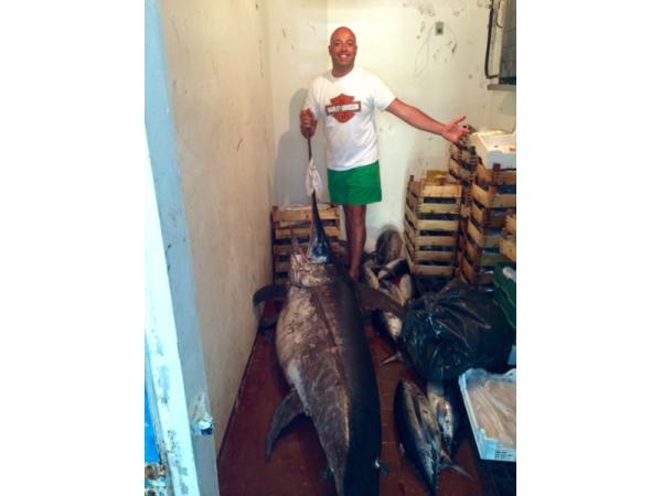 Bild 13 von Osteria & Pizzeria IL PESCATORE