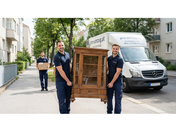 Bild 4 von Pro-Umzug