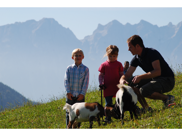 Bild 26 von Reitlhof