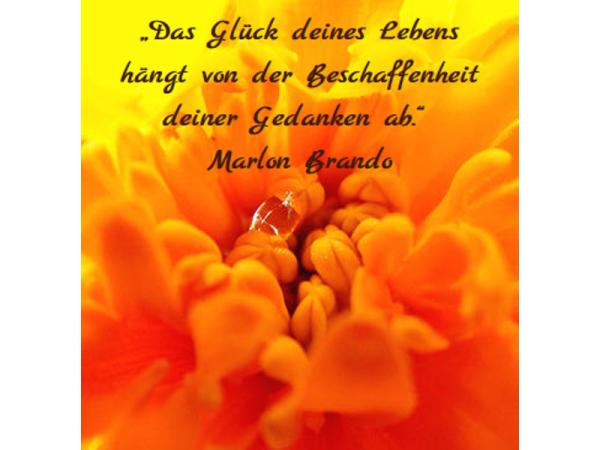 Bild 1 von Wieder zur Mitte - Mag. Marion Schneider