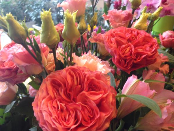 Bild 3 von ARKADENBLUMENHAUS - Kruba Brigitte