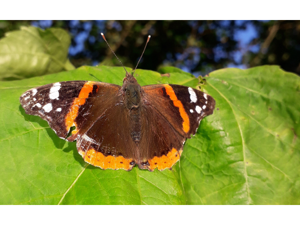 Bild 1 von Massage Werkstatt Ursula und Walter Gigler