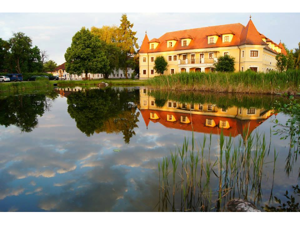 Bild 7 von Almtalhotel - Pettenbach