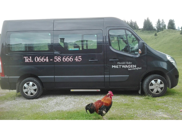 Bild 12 von Hofer Harald - Taxi