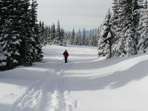 Bild 7 von Tourismusverband Joglland – Waldheimat