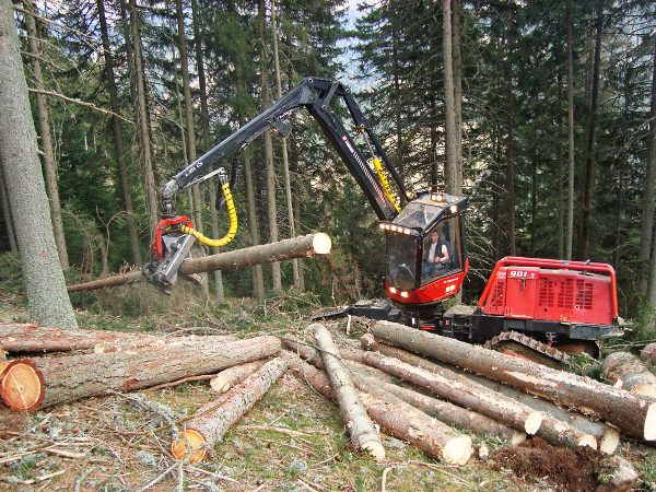Bild 3 von Holzernte KraWe GmbH & Co KG