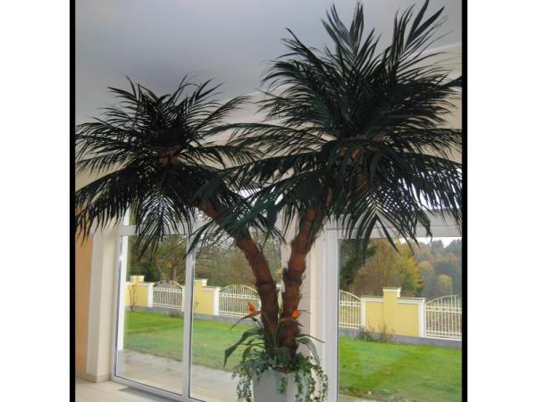 Bild 20 von Tree Design Christian Harb