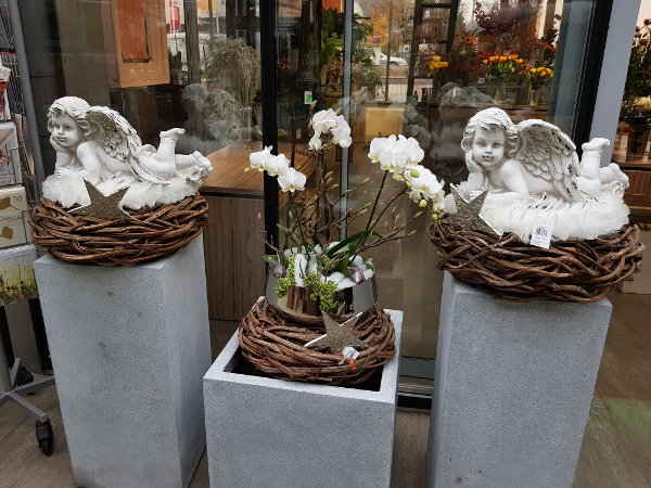 Bild 73 von Gartenbau-Blumen Helmut Friedl