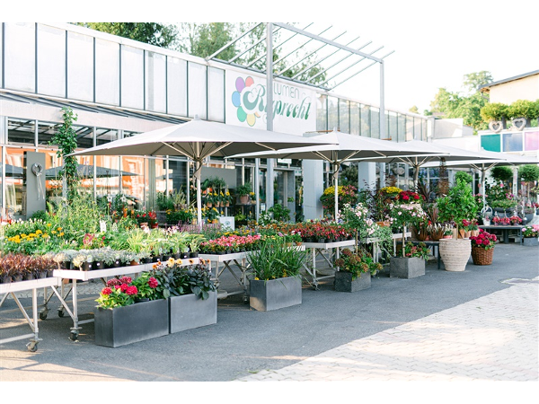 Bild 6 von Blumen Ruprecht KG