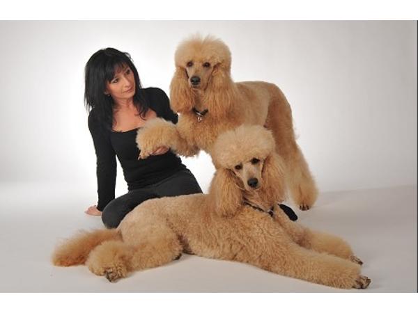 Bild 2 von Hundestudio Struppelpeter - Sabina Genewein