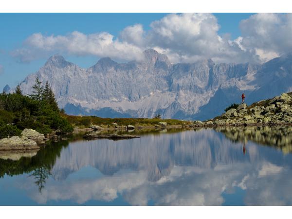 Bild 7 von Premium Wanderhotel Steirerhof