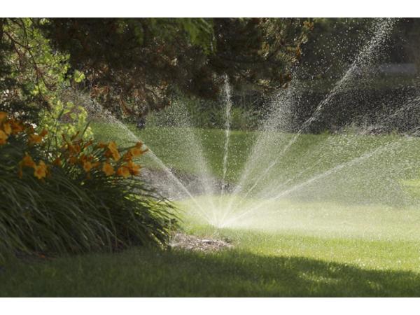 Bild 1 von Gartengestaltung Lechner