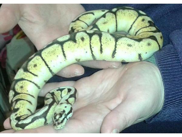 Bild 3 von Birgit's Tierhandlung
