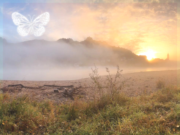 Bild 2 von Matsya Yoga